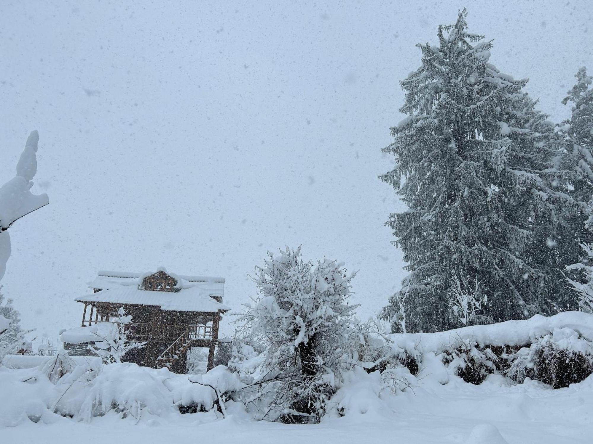 Woodstock Villa Rooms&Entirevilla Tulga Kalgha Dış mekan fotoğraf